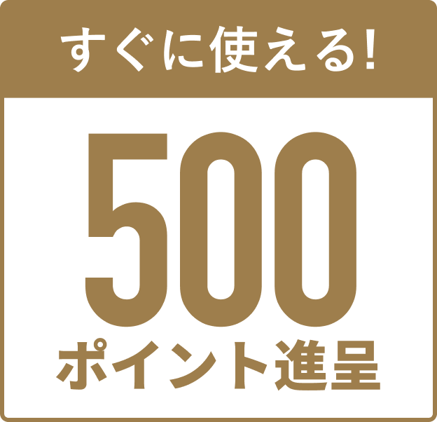 すぐに使える、500ポイント進呈